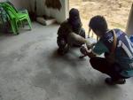 ฉีดวัคซีนป้องกันโรคพิษสุนัขบ้า ประจำปีงบประมาณ 69